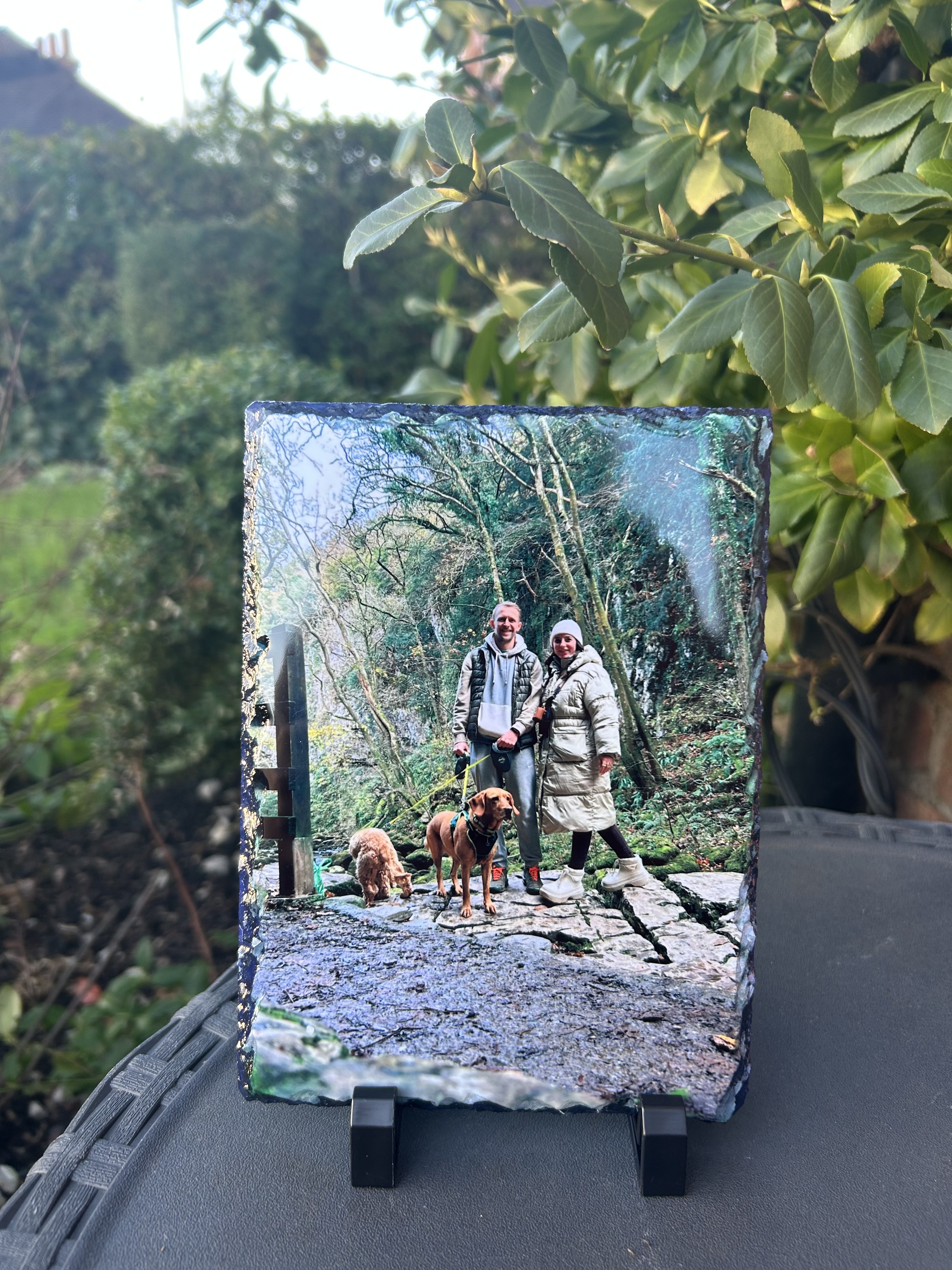 Blush Ink UK slate photo print of a couple and their dogs on a woodland walk